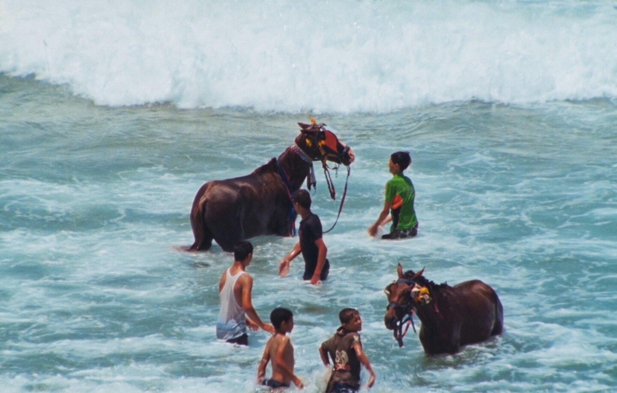 The image shows several people in the ocean with two horses. The horses, adorned with decorative accessories, are standing in the shallow water, while the people, including children and adults, are interacting with them. Waves can be seen in the background, creating a lively beach scene. The atmosphere appears joyful and playful, with the water splashing around as the individuals engage with the horses.