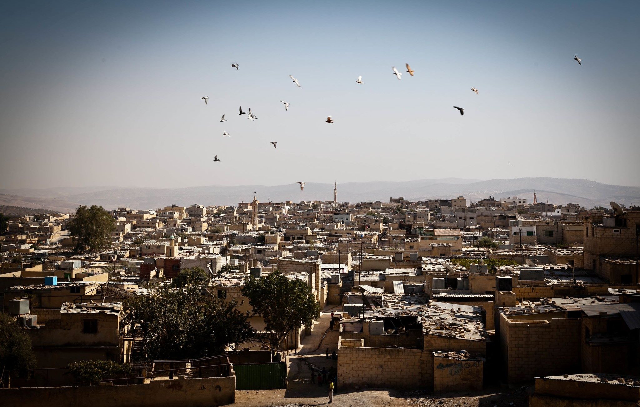 تظهر الصورة مشهدًا واسعًا لمدينة أو قرية صغيرة، حيث تتناثر المباني والمتاجر على التلال. السماء صافية ومنارة، مع مجموعة من الطيور التي تحلق في الفضاء العلوي. المباني تبدو بسيطة وأغلبها ذو أسطح مغطاة، مما يدل على بيئة قد تكون فقيرة أو ريفية. في المقدمة، يمكن رؤية شجرة وحيدة، مما يضفي لمسة من الحياة على المشهد. الألوان في الصورة تتنوع بين درجات البني والرمادي، مما يعكس طبيعة المكان وجوهر الحياة فيه.