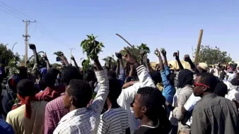 تظهر في الصورة مجموعة من الأشخاص في تجمع حاشد، يرفعون أيديهم في الهواء. يبدو أن بعضهم يحملون أغصانًا أو نباتات. السماء واضحة وزرقاء، مما يشير إلى أن الوقت قد يكون في النهار. يظهر في الخلفية بعض المباني والأشجار. الأجواء تعكس نشاطًا جماهيريًا، وقد يدل ذلك على حدث أو مظاهرة.