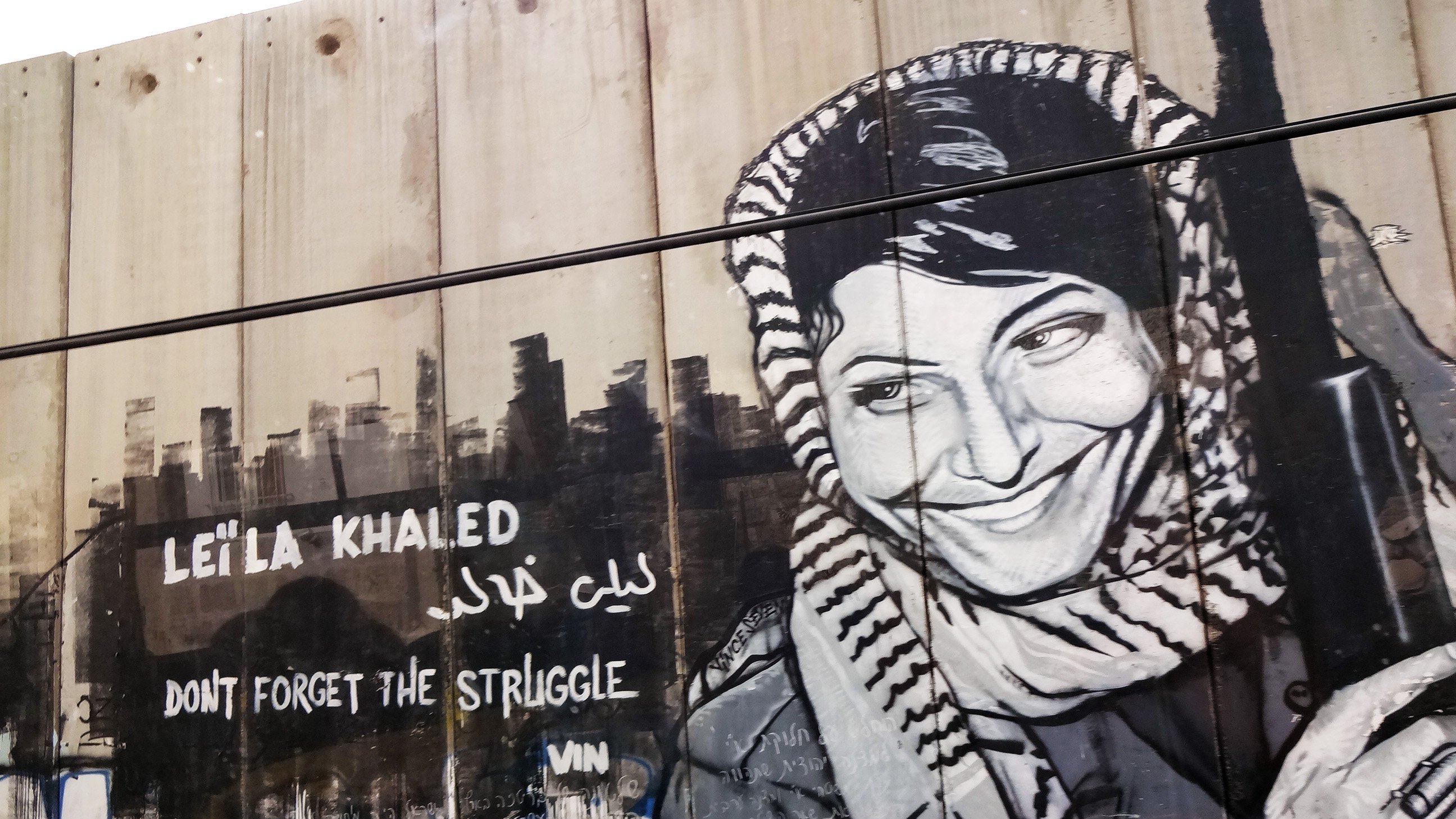 این تصویر یک دیوارنگاری را نشان میدهد که تصویر زنی به نام لیلا خالد را به همراه یک پیغام نوشته شده به زبان انگلیسی و عربی نشان میدهد. زن در حالتی خوشحال و با پوششی سنتی و شال به سر دارد و در دستش سلاحی قرار دارد. متن نوشته شده به زبان انگلیسی میگوید: "Don't forget the struggle" و به زبان عربی نام لیلا خالد ذکر شده است. دیوارنگاری به نظر میرسد که به نمادین بودن او در تاریخ مبارزات فلسطینیها اشاره دارد.