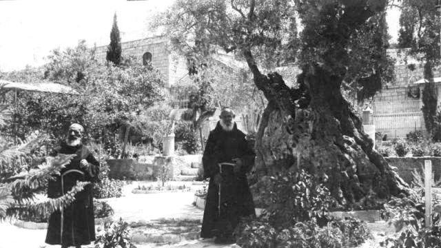 در این تصویر، دو مرد در لباسهای سنتی به طور ایستاده در یک باغ یا محوطهی بیرونی قرار دارند. در پسزمینه، درختان بزرگ و کهن وجود دارد، به ویژه یک درخت زیتون بسیار قدیمی که به وضوح قابل مشاهده است. باغ پر از سبزه و گلهای متنوع است. نمای کلی تصویر حس سکوت و آرامش را منتقل میکند و به نظر میرسد که مکان تاریخی و معنوی باشد.