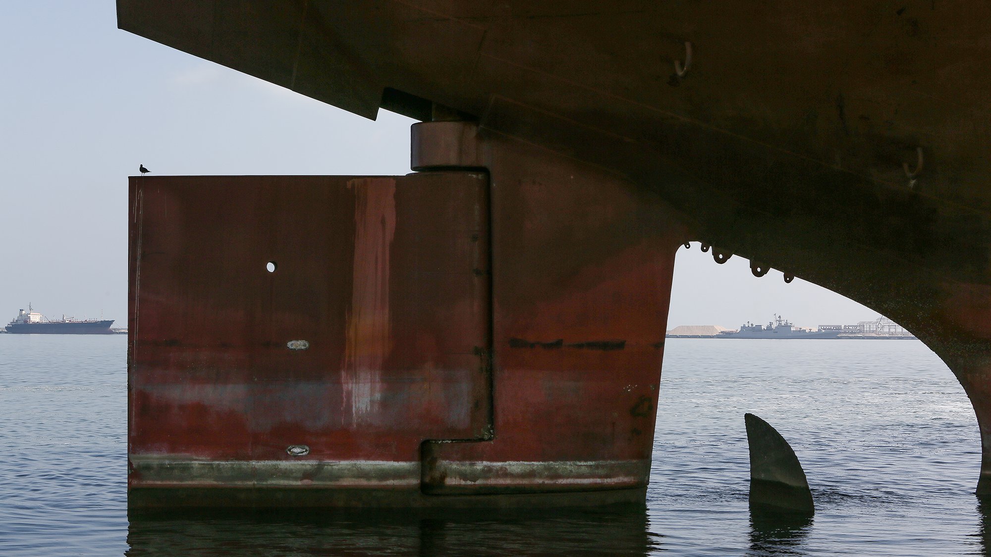 در این تصویر، یک کشتی بزرگ در حال لنگر انداختن در آب دیده میشود. قسمت زیرین و بدنه کشتی، با رنگی قهوهای مائل به قرمز و سطوح زنگزده مشخص شده است. در زیر بدنه کشتی، بخشی از باله یا دم یک موجود دریایی قابل مشاهده است که به آرامی از آب بیرون آمده است. در پسزمینه، چند کشتی دیگر در فاصله دورتر دیده میشوند و فضا روشن و آرام به نظر میرسد.
