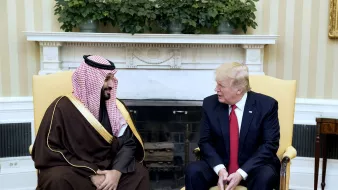 در این تصویر، دو نفر در یک اتاق نشستهاند. یکی از آنها لباس سنتی عربی به تن دارد و از لحاظ ظاهری به عنوان یک مقام عربی به نظر میرسد. فرد دوم، لباس رسمی غربی پوشیده و به نظر میرسد یک مقام سیاسی است. آنها در حال گفتگو هستند و هر دو به همدیگر نگاه میکنند. محیط اتاق با دیوارهای روشن و دکوراسیون رسمی طراحی شده است. در پسزمینه، شومینهای وجود دارد که به فضای اتاق اضافه میکند. گیاهان سبز نیز در بالای شومینه قرار دارند.