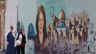 در این تصویر، دو زن در حال پیادهروی در کنار دیواری هستند که روی آن یک نقاشی بزرگ از یک زن به تصویر کشیده شده است. زن نقاشی شده دارای چهرهای جدی و نگاه مستقیمی به بیننده است. او کلاه جلوی سرش را به شکل نمادین به نشانه خبرنگاری به رنگ آبی دارد. در پسزمینه، ساختمانها و کوچهها به صورت هنری و با رنگهای ملایم به تصویر درآمدهاند. همچنین در پایین نقاشی، نوشتهای به عربی دیده میشود که به معنای «حقیقت» است. محیط دور و بر حس زندگی شهری و فرهنگی را منتقل میکند.