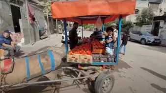 در این تصویر، یک دسته از میوهها، به ویژه گوجهفرنگی، در یک وانت کوچک یا نیسان قرار دارد که در کنار خیابان پارک شده است. یک مرد در حال فروش میوهها و یک کودک در کنار او به نظر میرسد. در گوشه تصویر، یک مرد دیگر در حال نشستن بر روی زمین است. خیابان و ساختمانهای اطراف نیز در پسزمینه قابل مشاهده هستند.