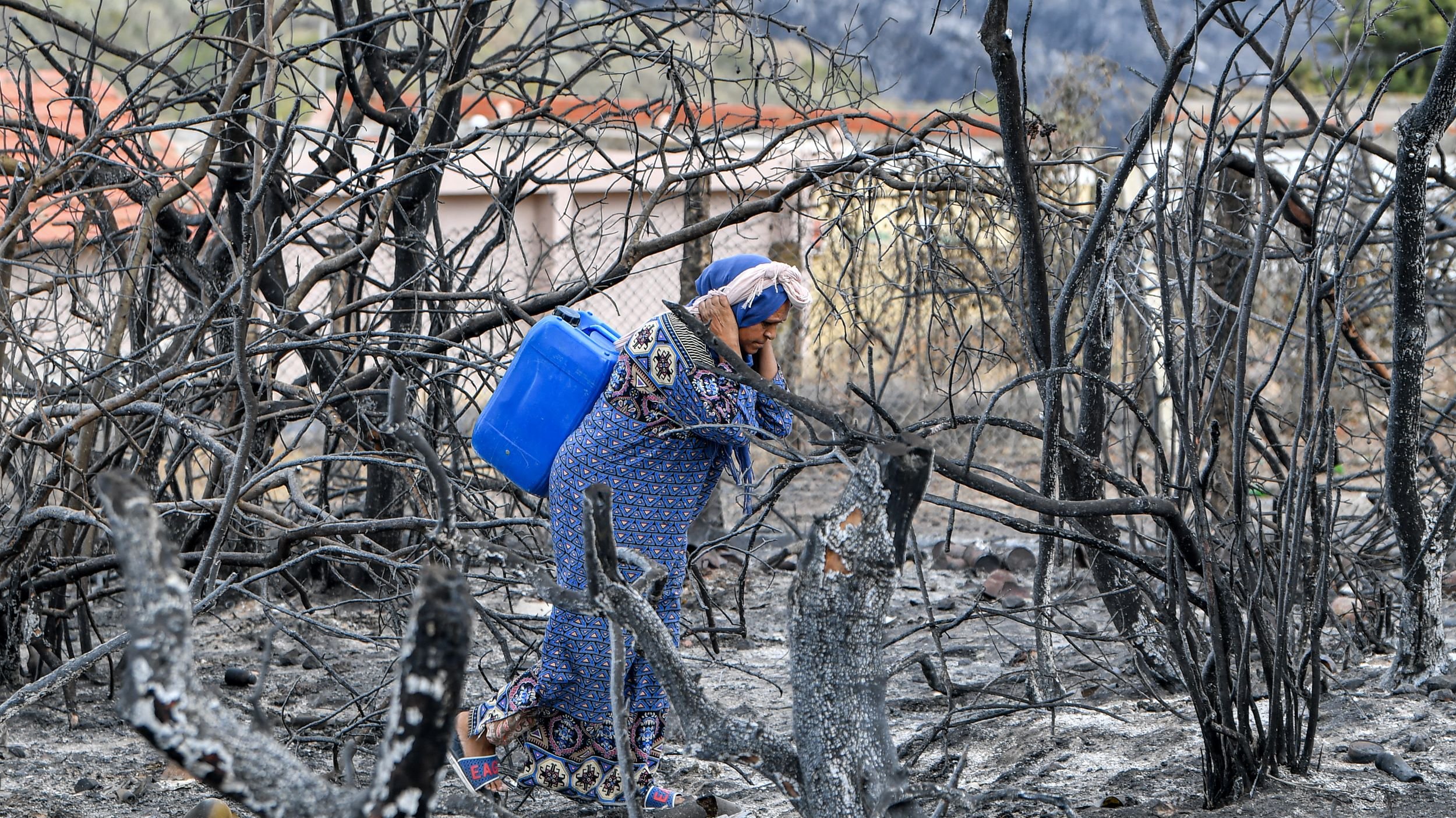 L'image montre une femme vêtue d'une robe traditionnelle, portant un seau bleu, qui se tient parmi des arbres brûlés et des débris d'un terrain ravagé par un incendie. Le paysage est marqué par des troncs d'arbres noircis et des cendres, suggérant une récente catastrophe naturelle. La femme semble en quête de quelque chose ou en train d'évaluer les dommages dans cette zone dévastée.