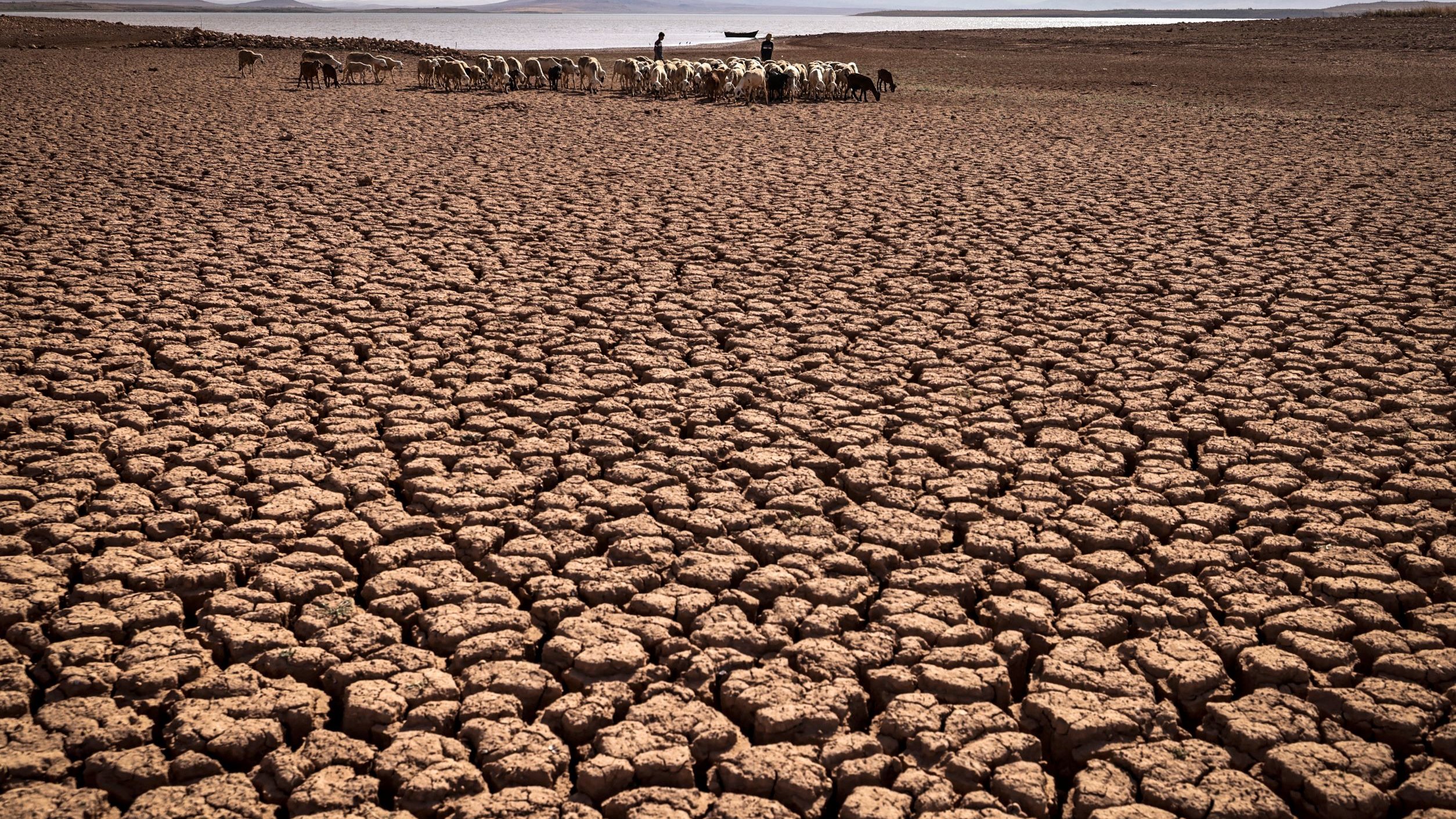 L'image montre un paysage aride et desséché, caractérisé par un sol fendu en craquelures profondes. Au loin, on aperçoit un groupe de personnes qui semblent guider un troupeau d'animaux. L'environnement est désolé, probablement en raison de la sécheresse, avec des montagnes floues à l'arrière-plan. L'atmosphère dégage un sentiment de difficulté et de lutte face aux conditions climatiques austères.