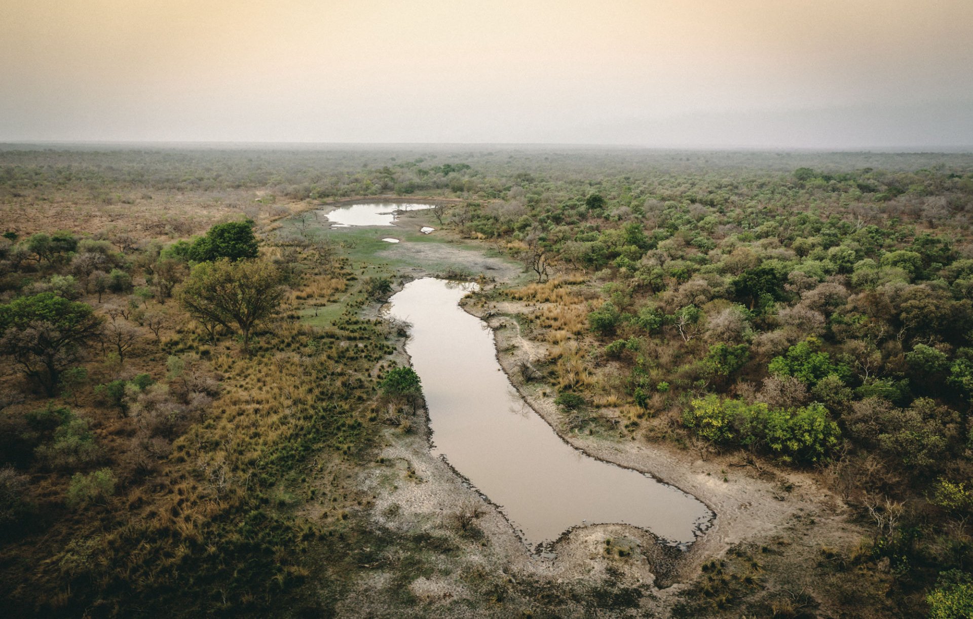 L'image montre un paysage naturel, probablement une savane ou une plaine. On y voit un cours d'eau sinueux traversant une vaste étendue de végétation, composée de buissons et d'arbres dispersés. Les ombres et les couleurs chaudes suggèrent un éclairage doux, peut-être au lever ou au coucher du soleil. Le sol est partiellement sec, avec des zones de terre exposée autour de l'eau. L'ensemble dégage une ambiance tranquille et sauvage, propre aux milieux naturels.