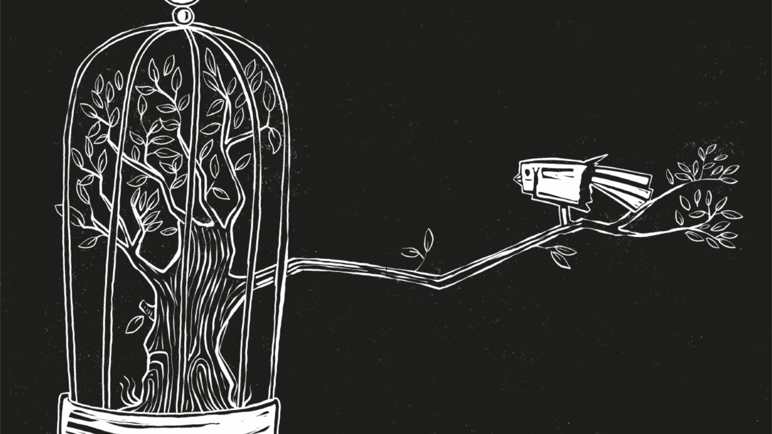 L'image représente une cage stylisée, ouverte sur le haut, dans laquelle se trouve un arbre aux feuilles bien détaillées. La cage est dessinée de manière délicate, avec des branches et des feuilles qui semblent s'épanouir à l'intérieur. À l'extérieur de la cage, il y a un oiseau posé sur une branche, qui regarde l'arbre. Le fond est noir, ce qui met en valeur les éléments blancs du dessin. Cette illustration évoque des thèmes de liberté, de nature et de contraste entre la captivité et l'évasion.