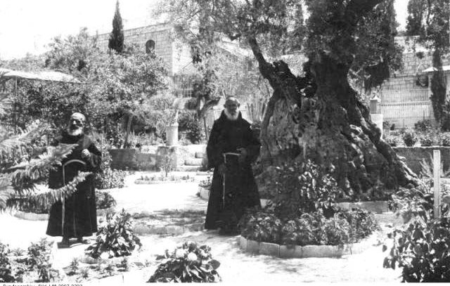 L'image montre deux hommes en habits religieux, probablement des moines, se tenant debout dans un jardin. Ils se tiennent près d'un grand arbre, qui semble être un olivier très ancien. L'environnement est rempli de verdure, avec des plantes et des buissons autour. En arrière-plan, on peut apercevoir des murs en pierre, suggérant un cadre historique ou religieux. L'atmosphère semble paisible et sereine.