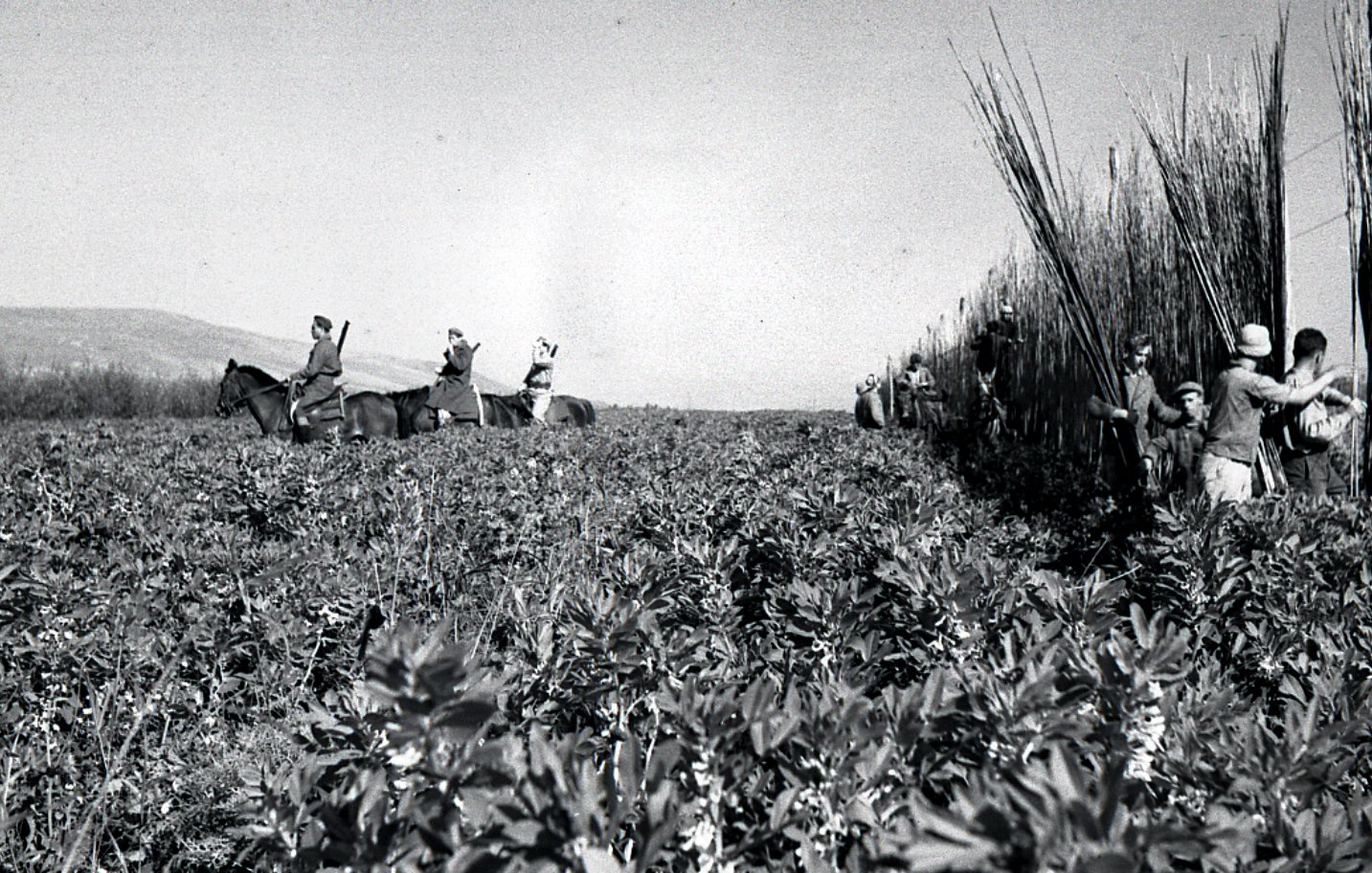 L'image montre une scène de récolte où plusieurs personnes travaillent dans un champ. On peut voir des travailleurs à cheval au fond, tandis que d'autres, au premier plan, semblent couper ou rassembler des plantes ou des herbes. Le paysage est vaste et rural, avec un ciel clair, suggérant une journée ensoleillée. Les vêtements des travailleurs peuvent indiquer une époque passée, donnant à l'image un air nostalgique.
