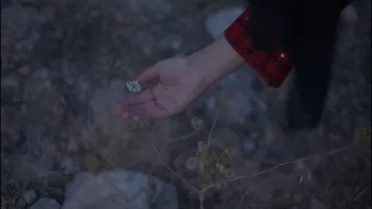 Une main effleure des fleurs sauvages dans un paysage rocheux au crépuscule.