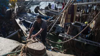 L'image montre un port de pêche animé, avec des bateaux de pêche amarrés. Un homme, vêtu d'un t-shirt et d'une casquette, est visible en train de travailler sur le quai, s'occupant de cordages. En arrière-plan, on peut voir d'autres bateaux et une atmosphère maritime. Le paysage évoque une activité portuaire typique, avec plusieurs éléments liés à la pêche.