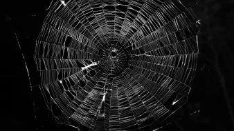 L'image montre une toile d'araignée délicate et complexe, construite avec des fils translucides et brillants. Le fond est sombre, ce qui met en valeur la structure de la toile. Les motifs géométriques formés par les fils créent un effet visuel fascinant, capturant la lumière de manière à donner à l'ensemble un aspect presque artistique. La toile est parfaitement centrée, avec un large cercle au centre, et les rayons s'étendent uniformément vers l'extérieur.