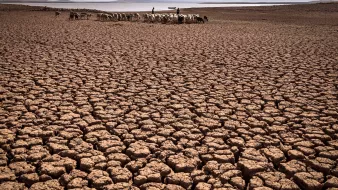 L'image montre un paysage aride et desséché, caractérisé par un sol fendu en craquelures profondes. Au loin, on aperçoit un groupe de personnes qui semblent guider un troupeau d'animaux. L'environnement est désolé, probablement en raison de la sécheresse, avec des montagnes floues à l'arrière-plan. L'atmosphère dégage un sentiment de difficulté et de lutte face aux conditions climatiques austères.
