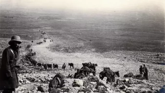 L'image montre un paysage désertique avec un groupe de personnes et d'animaux, probablement des mulets ou des ânes, qui avancent sur un chemin rocailleux. À l'avant, un homme en manteau et en chapeau observe la scène. Au loin, on peut voir une longue file de silhouette se déplaçant à travers des terrains arides. L'atmosphère est presque nostalgique, évoquant un temps passé.