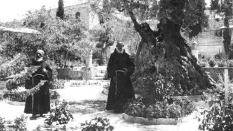 L'image montre deux hommes en habits religieux, probablement des moines, se tenant debout dans un jardin. Ils se tiennent près d'un grand arbre, qui semble être un olivier très ancien. L'environnement est rempli de verdure, avec des plantes et des buissons autour. En arrière-plan, on peut apercevoir des murs en pierre, suggérant un cadre historique ou religieux. L'atmosphère semble paisible et sereine.