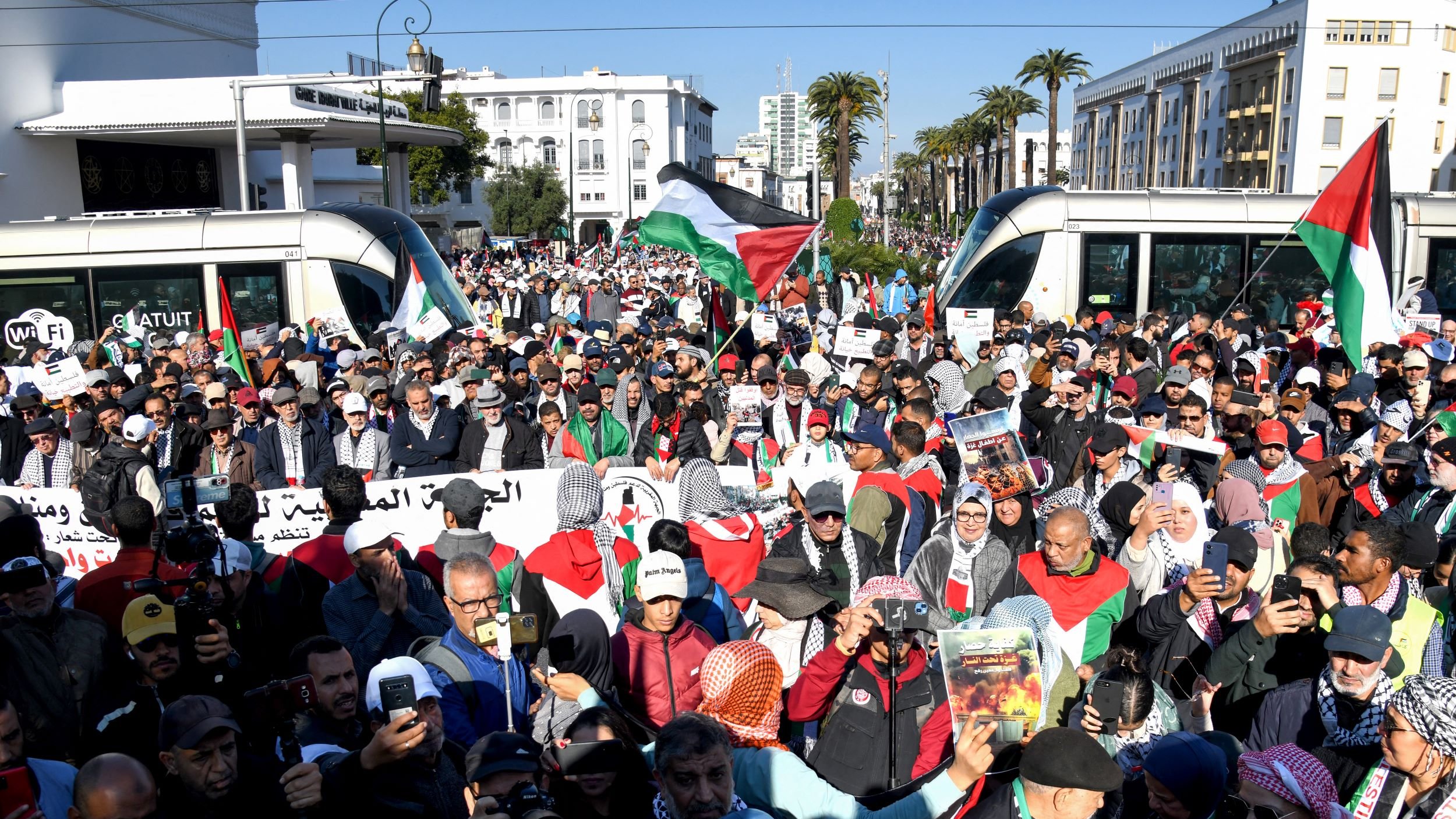 L'immagine mostra una grande manifestazione in una città, con un'assemblea di molte persone. La folla tiene cartelli e striscioni, e gli individui indossano sciarpe e abbigliamento che richiamano i colori della bandiera palestinese, come il rosso, il bianco, il verde e il nero. Sullo sfondo si possono vedere edifici e palme, suggerendo un clima temperato e un ambiente urbano. La manifestazione sembra essere caratterizzata da forte partecipazione e idealismo, probabilmente in supporto di una causa specifica legata alla Palestina.