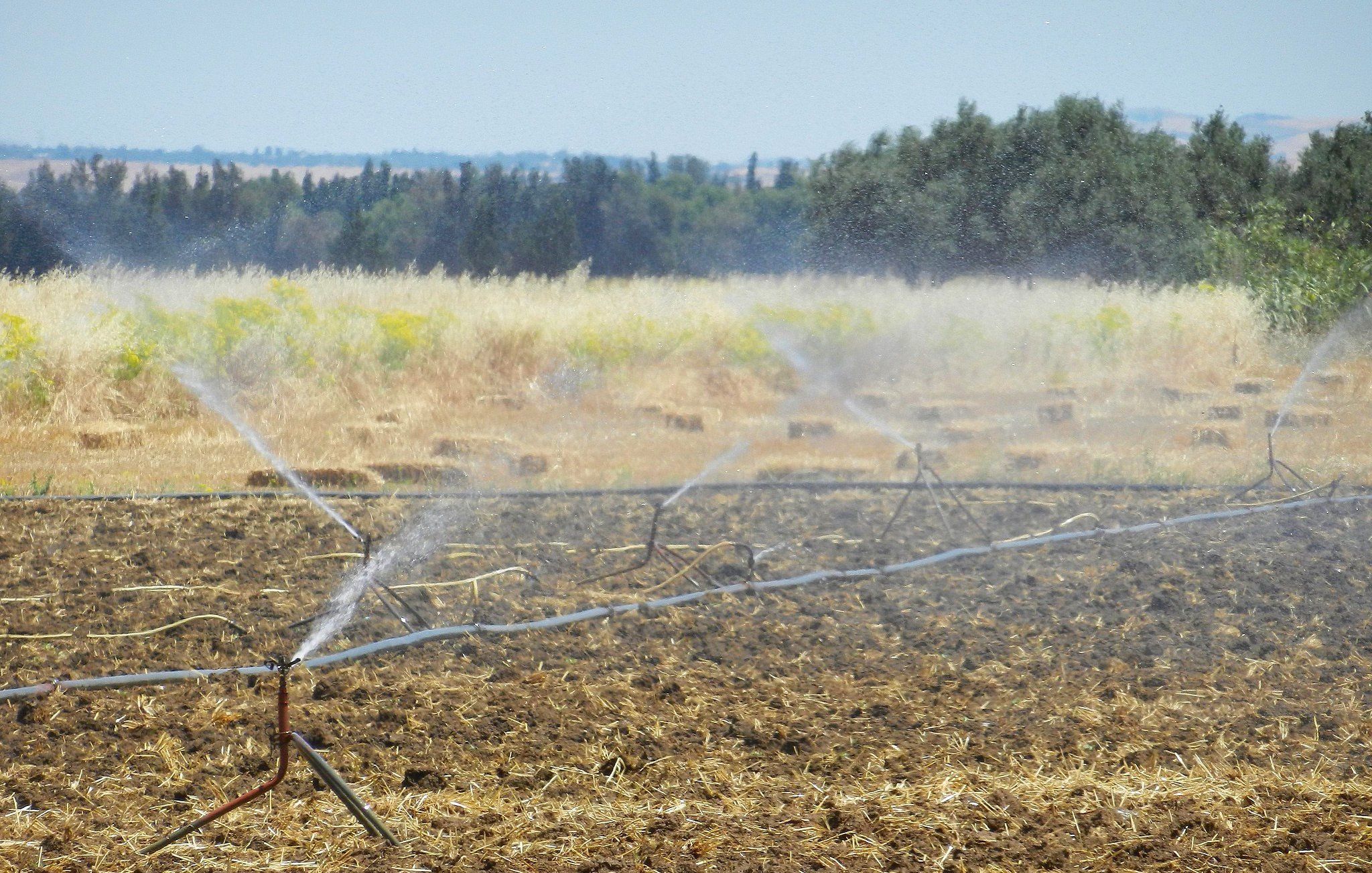 The image shows a field with sprinkler irrigation systems in operation. Water is being sprayed onto the dry, plowed soil, creating a mist effect. In the background, there are trees and a clear sky, indicating a rural landscape. The overall scene suggests agricultural activity, with the purpose of watering crops or preparing the soil for planting.
