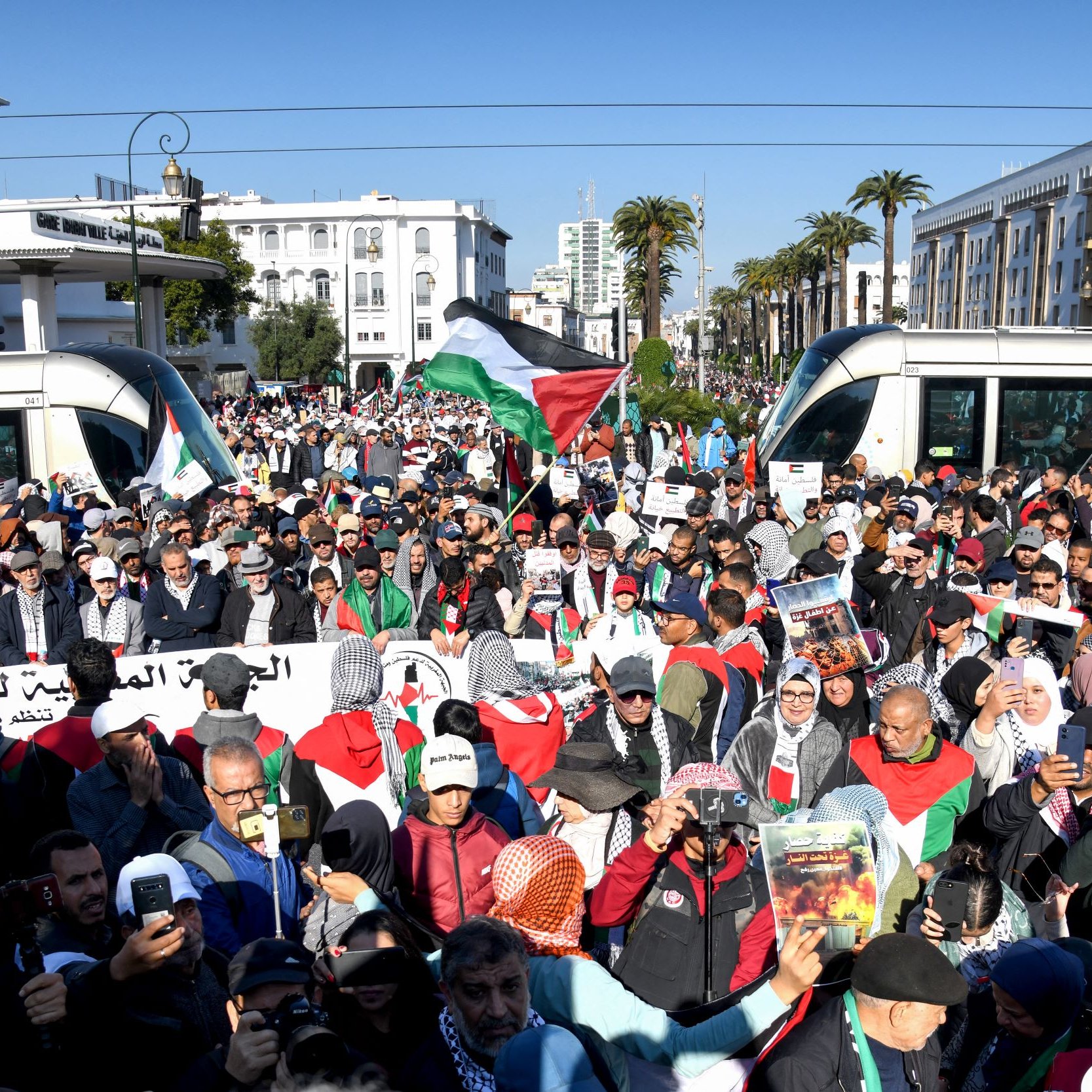 L'image montre une grande foule de manifestants rassemblés dans une ville, probablement pour une cause liée à la Palestine. Les personnes portent des écharpes ou des drapeaux palestiniens, et plusieurs d'entre elles tiennent des pancartes. L'ambiance semble énergique et déterminée, avec des sympathisants se réunissant pour exprimer leurs opinions. En arrière-plan, on peut voir des bâtiments modernes et des palmiers, indiquant un cadre urbain.