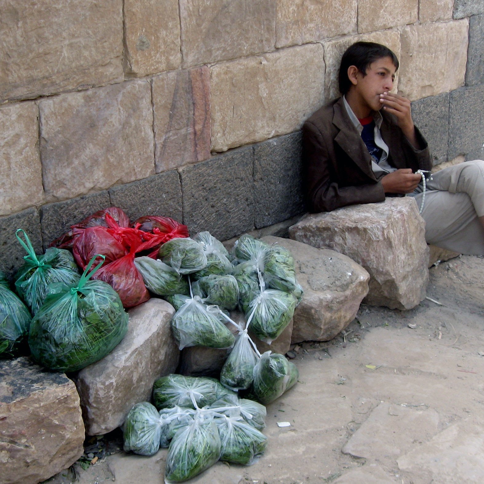 L'image montre un jeune garçon assis contre un mur en pierre. Il porte une veste et des pantalons clairs, et il semble fumer. À côté de lui, il y a plusieurs sacs transparentes contenant probablement des légumes ou des herbes, empilés sur le sol. Les sacs sont de différentes couleurs, principalement verts avec quelques rouges, et ils sont disposés sur des roches à ses côtés. L'environnement semble urbain, avec une route visible en arrière-plan.