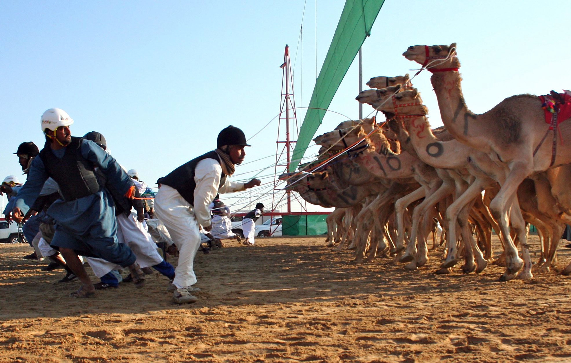 تشير الصورة إلى سباق الإبل، حيث يُلاحظ عدد من الإبل التي تم تجهيزها للسباق، يقودها متسابقون يرتدون ملابس تعبر عن التراث. يتمسك البعض بالحبال الخاصة بالإبل بينما تتحرك الإبل نحو خط النهاية. يتميز المكان بأجواء احتفالية، مع وجود خيام وبساط من الرمال تحت أشعة الشمس.