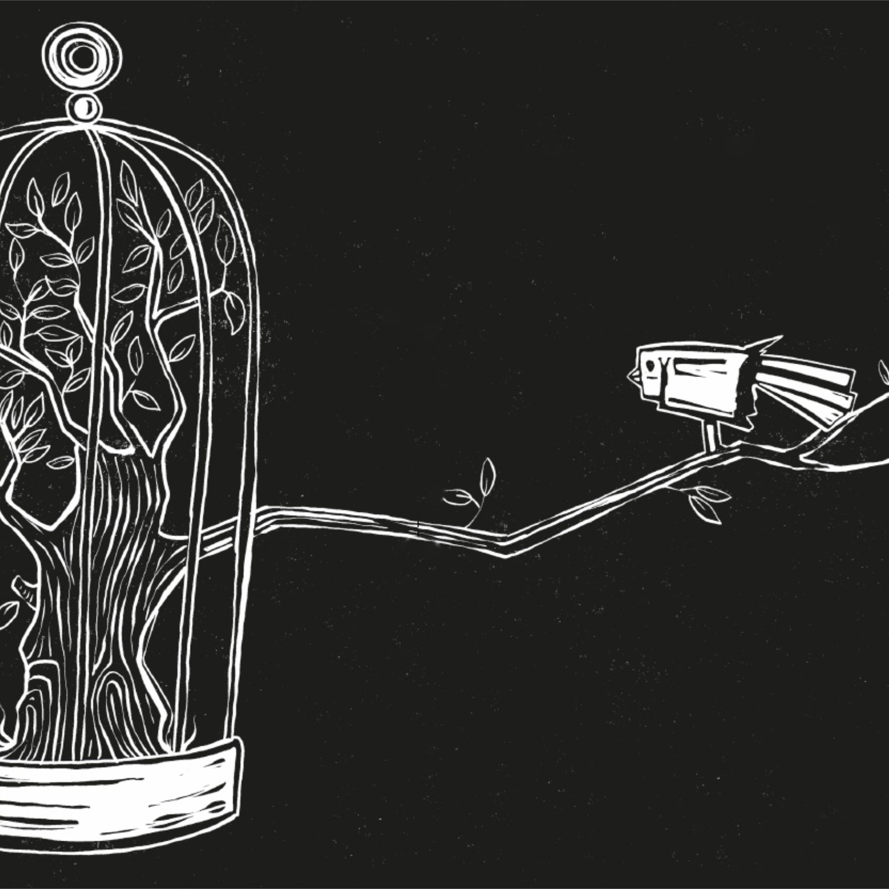 L'image représente une cage stylisée, ouverte sur le haut, dans laquelle se trouve un arbre aux feuilles bien détaillées. La cage est dessinée de manière délicate, avec des branches et des feuilles qui semblent s'épanouir à l'intérieur. À l'extérieur de la cage, il y a un oiseau posé sur une branche, qui regarde l'arbre. Le fond est noir, ce qui met en valeur les éléments blancs du dessin. Cette illustration évoque des thèmes de liberté, de nature et de contraste entre la captivité et l'évasion.