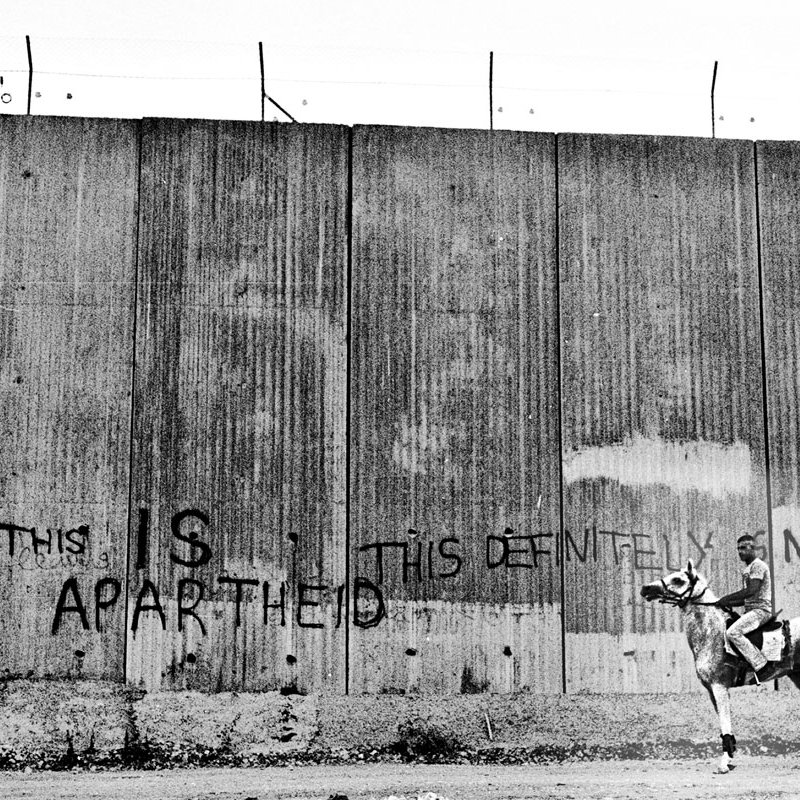 L'image montre un cavalier monté sur un cheval, se tenant près d'un grand mur de béton. Ce mur est marqué par des graffitis en anglais, indiquant des messages provocateurs tels que "THIS IS APARTHEID" et "THIS DEFINITELY NOT A FENCE". L'ambiance de la photo souligne un contraste entre la scène rurale du cavalier et la nature austère du mur, évoquant des thèmes de séparation et de conflit.