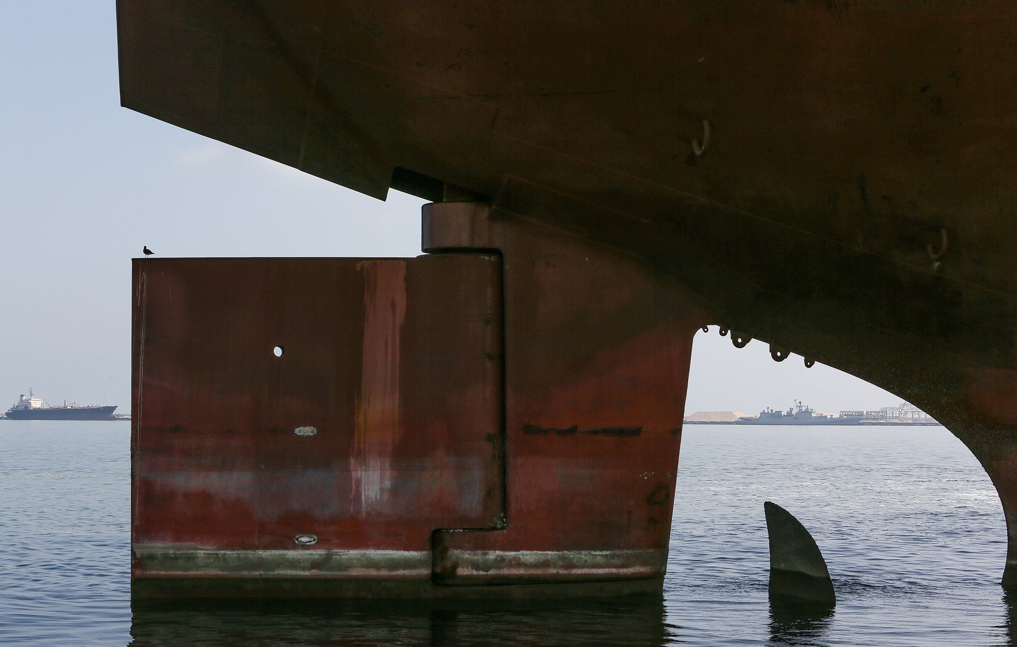 تظهر في الصورة جزءًا من هيكل سفينة كبيرة مغمورة جزئيًا في الماء. الهيكل يبدو قديمًا ومصنوعًا من الحديد، حيث تغطيه بقع الصدأ. على الجانب الأيسر، يوجد جزء مربع الشكل مع ثقب دائري، ويتواجد بعض المراكب في الخلفية على سطح الماء، مما يشير إلى وجود نشاط بحري. كما يمكن رؤية زعنفة سمكة تظهر من الماء بالقرب من السفينة، مما يضيف بعدًا طبيعيًا للصورة.