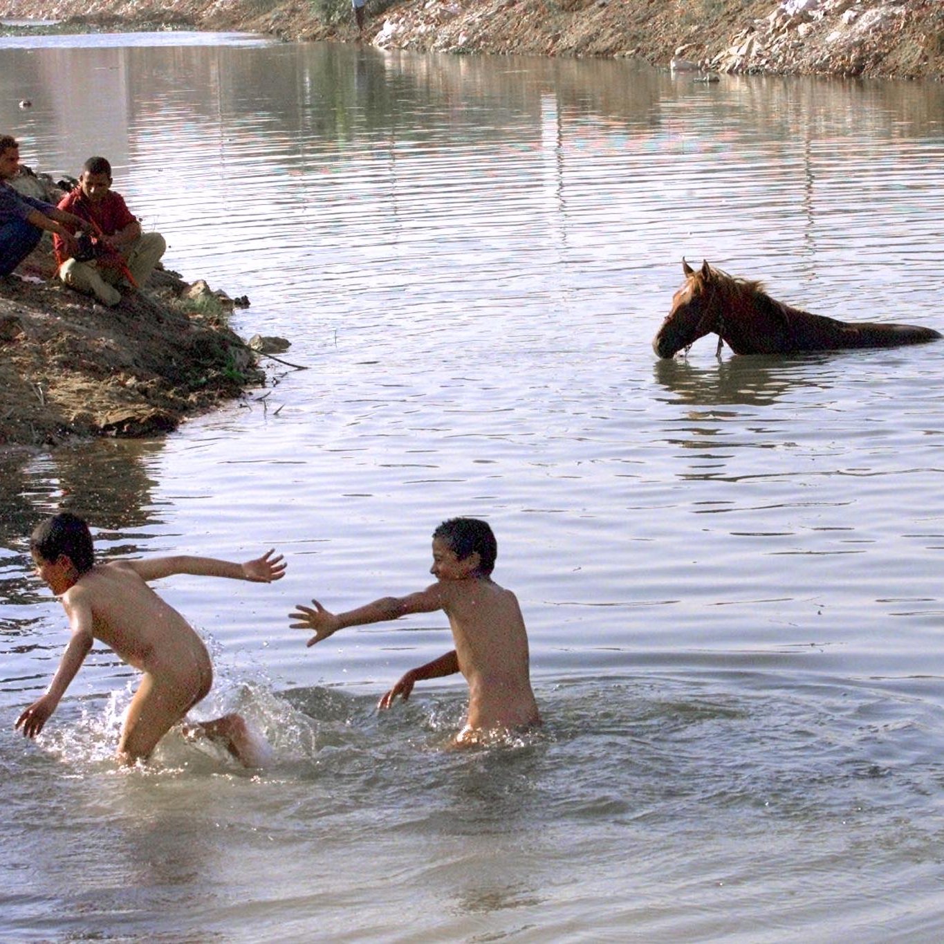 L'image montre une scène paisible près d'un cours d'eau. Deux jeunes garçons jouent dans l'eau, visiblement en train de s'amuser. Ils sont nus et semblent joyeux. Sur la rive, on peut apercevoir quelques personnes assises qui les observent. À l'arrière-plan, un cheval est dans l'eau, probablement en train de se désaltérer ou de se baigner. La nature environnante semble calme avec des rives légèrement boisées. L'atmosphère générale est celle de détente et de jeu.