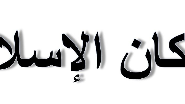 L'image que vous avez fournie représente du texte en arabe. Le texte dit "أركان الإسلام", ce qui se traduit en français par "Les piliers de l'islam". Ces piliers sont les fondements fondamentaux de la foi islamique.