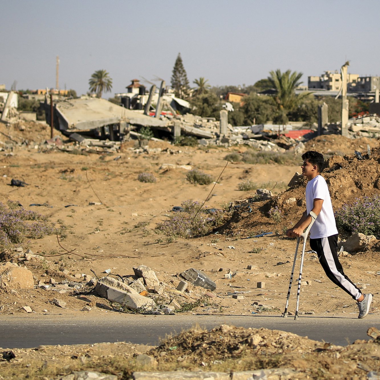 در این تصویر، پسری جوان با عصا در حال راه رفتن در میان ویرانه‌ها و خرابی‌های یک منطقه است. در پس‌زمینه، ساختمان‌های تخریب‌شده و نواحی خشک و بی‌حالت دیده می‌شوند. وجود برخی درختان و گیاهان در اطراف به تصویر حس زندگی و امید می‌دهد، اما وضعیت کلی محیط نشان‌دهنده آسیب و فاجعه است. آسمان آبی و صاف به تضاد با زمین ویران شده می‌افزاید.