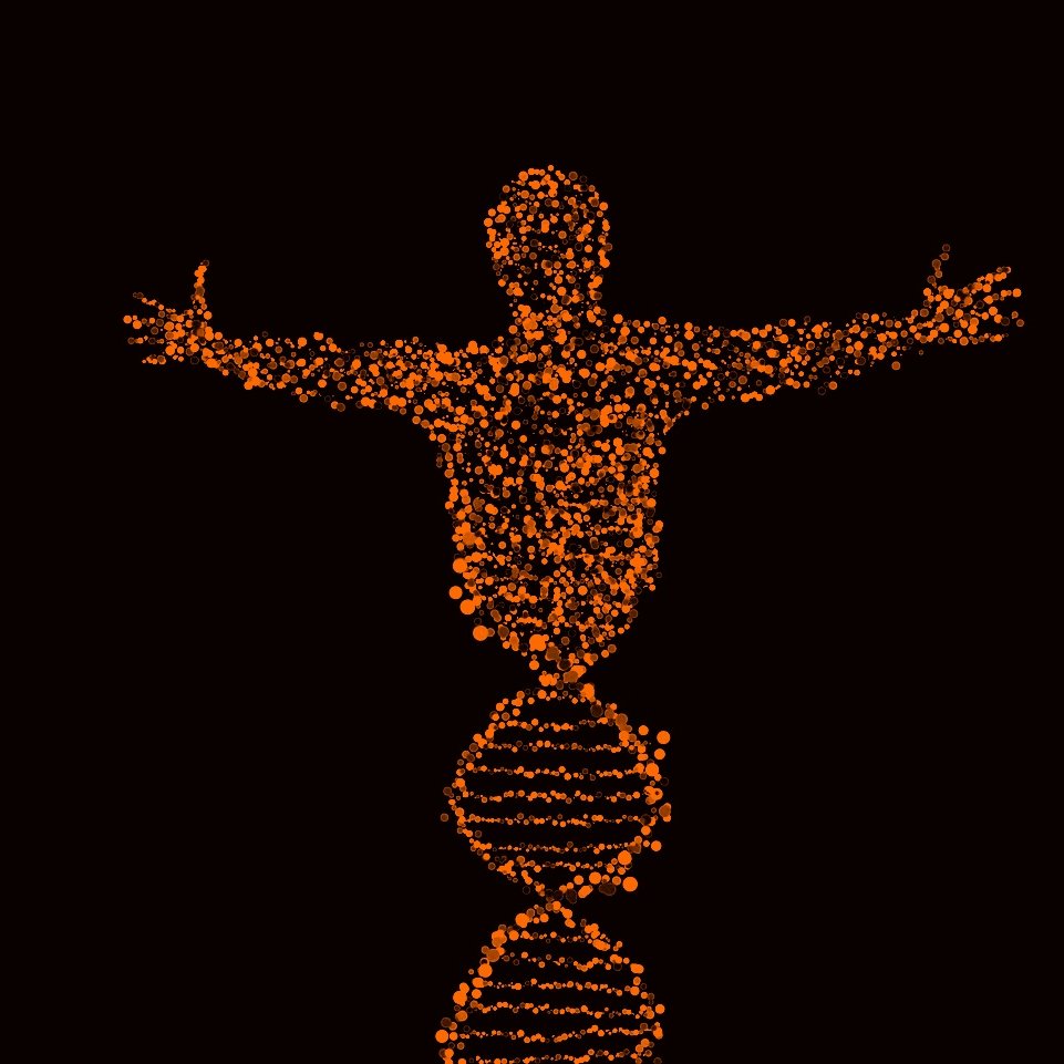 این تصویر نمایشگر یک سیلابس انسانی است که از نقاط یا کروی‌های نارنجی رنگ تشکیل شده است. این شکل انسانی با دستان باز در حال ایستادن است و به نظر می‌رسد که به DNA یا ساختار ژنتیکی اشاره دارد، چرا که در زیر آن، دو مارپیچ مشابه به ساختار DNA دیده می‌شود. پس‌زمینه تصویر کاملاً سیاه است که بر جذابیت و تمرکز روی فرم انسانی و الگوهای DNA تأکید می‌کند.
