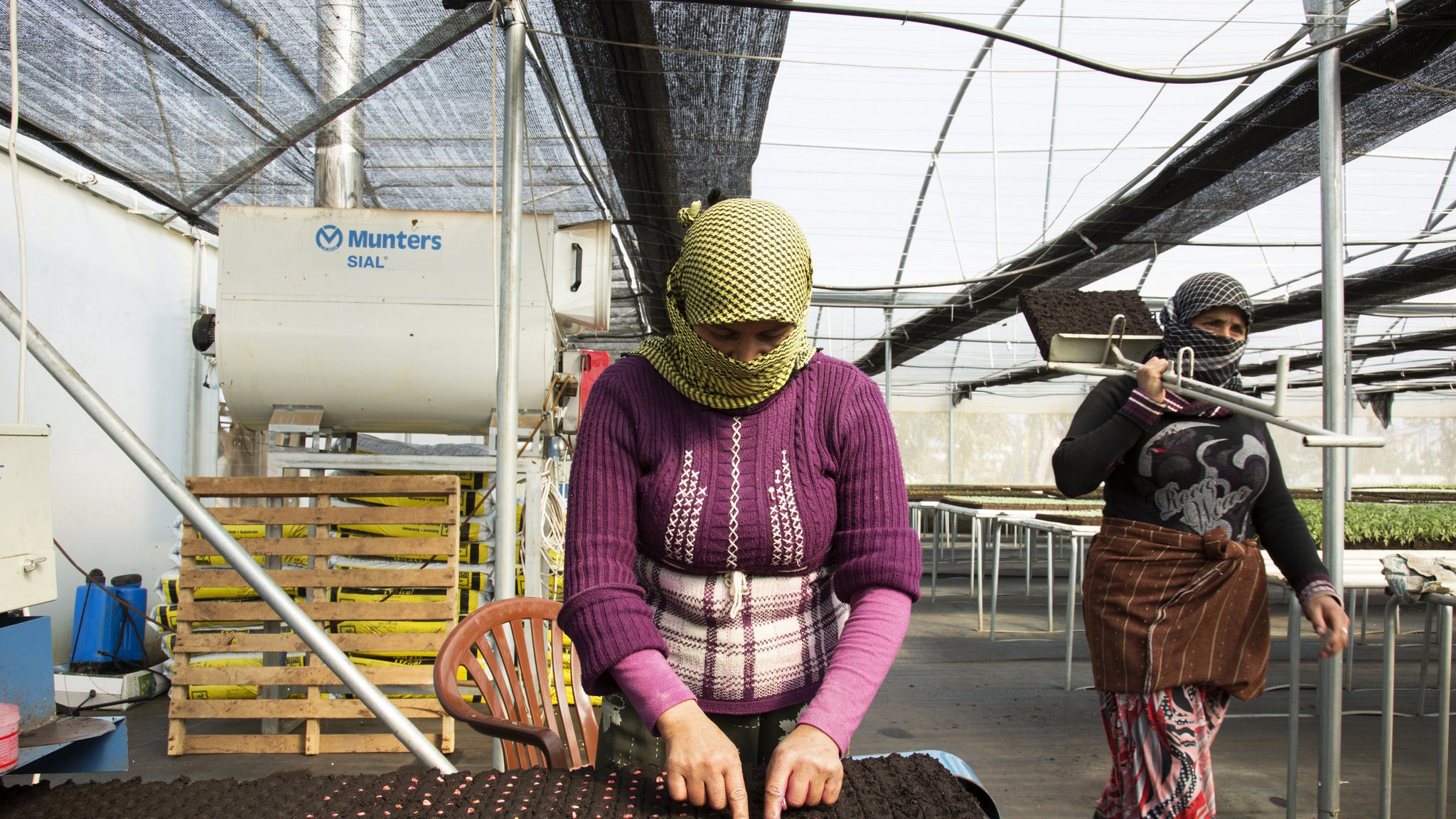L'image montre deux femmes travaillant dans une serre. L'une d'elles est au premier plan, concentrée sur un plateau de culture, où elle semble mettre des graines en terre. Elle porte un pull violet et un foulard. À l'arrière-plan, une autre femme marche, vêtue d'un pantalon coloré et d'un haut sombre. La serre est éclairée par la lumière naturelle, avec des filets qui filtrent le soleil. Des étagères en bois sont visibles, probablement utilisées pour le stockage ou la préparation des plants.