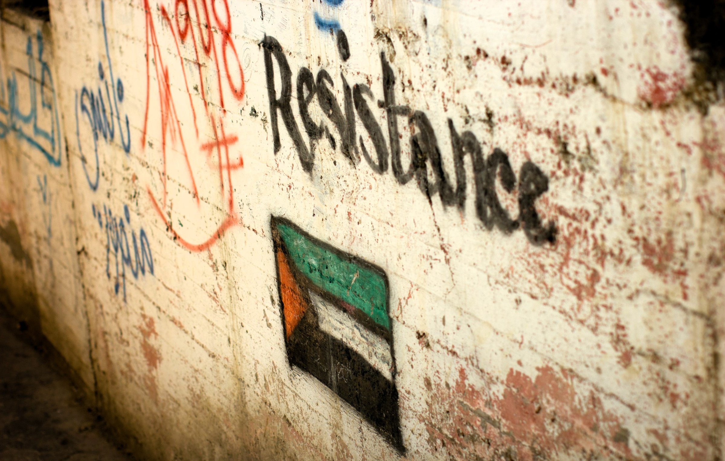 L'immagine mostra un muro su cui è stato sprayato un graffiti. Sul muro ci sono vari graffiti e scritte, tra cui la parola "Resistance" in lettere nere. Accanto a questa parola, si trova il disegno della bandiera palestinese, caratterizzato da strisce orizzontali verde, bianco e nero, con un triangolo rosso a sinistra. Lo sfondo del muro è usurato, con tracce di vernice scrostata e macchie di diverso colore.