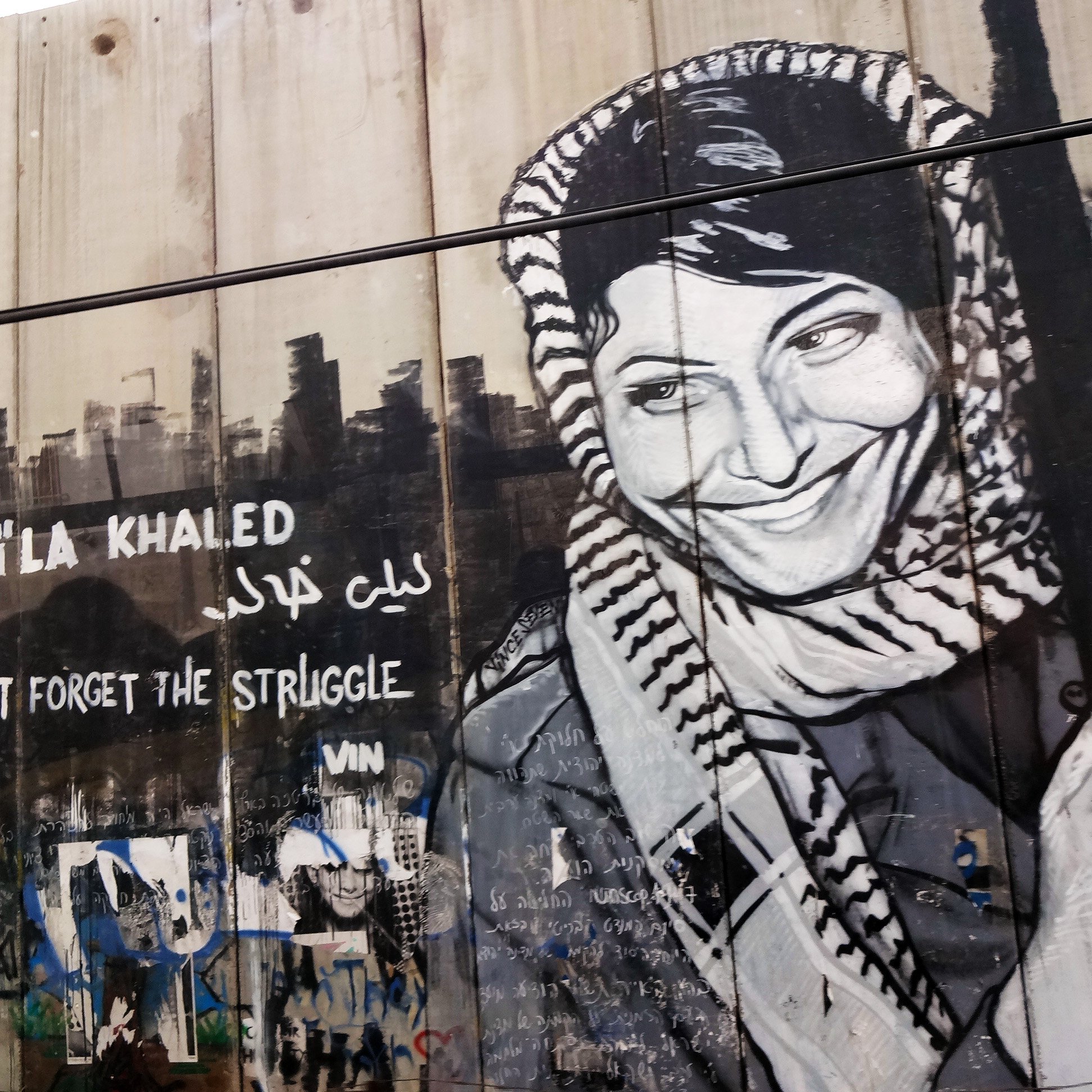 این تصویر یک دیوارنگاری را نشان می‌دهد که تصویر زنی به نام لیلا خالد را به همراه یک پیغام نوشته شده به زبان انگلیسی و عربی نشان می‌دهد. زن در حالتی خوشحال و با پوششی سنتی و شال به سر دارد و در دستش سلاحی قرار دارد. متن نوشته شده به زبان انگلیسی می‌گوید: "Don't forget the struggle" و به زبان عربی نام لیلا خالد ذکر شده است. دیوارنگاری به نظر می‌رسد که به نمادین بودن او در تاریخ مبارزات فلسطینی‌ها اشاره دارد.