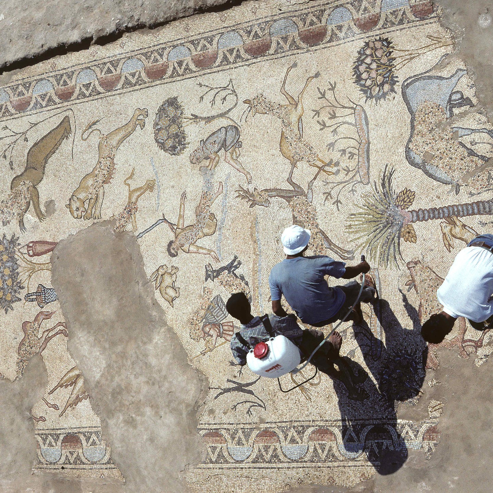 L'immagine mostra un antico mosaico, parzialmente scavato, con una varietà di animali e motivi decorativi. Si possono osservare figure di leoni, cervi e palme, che suggeriscono una rappresentazione di scene naturali. Due persone sono visibili nella parte inferiore, impegnate nel lavoro di pulizia o restauro del mosaico. L'illuminazione crea ombre sul pavimento, accentuando i dettagli del mosaico e l'atmosfera archeologica del sito.