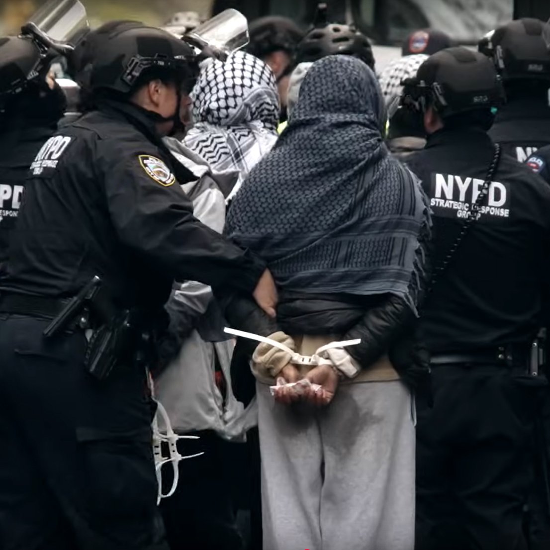 تصویر یک تجمع اعتراضی است که در آن پلیس‌ها با لباس سیاه و کلاه‌خود، به یک فرد که دستبند به دستانش زده شده است، نزدیک می‌شوند. این فرد لباس‌های غیررسمی و یک پوشش روی سر دارد. محیط به نظر شلوغ و پر از پلیس‌های دیگر است.