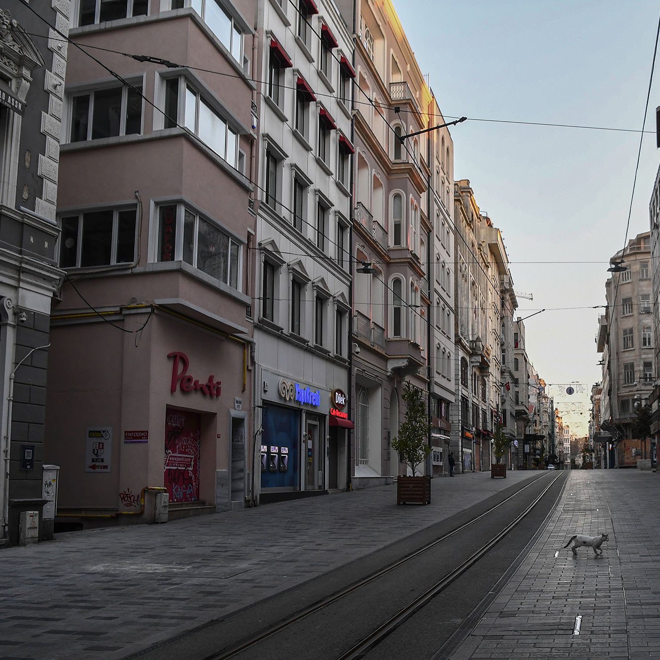 الصورة تظهر شارعًا في مدينة تبدو فيه الأجواء هادئة وخالية من الناس. تحيط بالمكان مبانٍ تاريخية بألوان دافئة، حيث تمثل العمارة الطراز المعماري المميز للمدينة. يبدو أن الشارع مُعدٌّ لوسائل النقل العامة، حيث توجد خطوط السكك الحديدية، ويمر ضوء خافت يعكس الصباح الباكر. في الوسط، يمكن رؤية كلب يسير عبر الشارع، مما يضيف لمسة من الحياة إلى المنظر الهادئ.