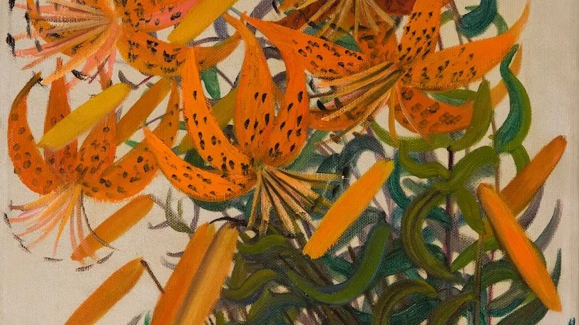 تُظهر الصورة لوحة فنية تتضمن مجموعة من الزهور البرتقالية المتفتحة. تتميز الأزهار بتفاصيل دقيقة تتضمن نقاطاً داكنة على البتلات، مما يضيف لها عمقاً وجمالاً. يتداخل مع الأزهار عدد من الأوراق الخضراء المتعرجة، مما يخلق تبايناً لافتاً مع الألوان الدافئة للزهور. الخلفية بسيطة مما يبرز جمال الزهور بشكل أفضل، ويعكس أسلوباً فنياً مميزاً وحيوياً.