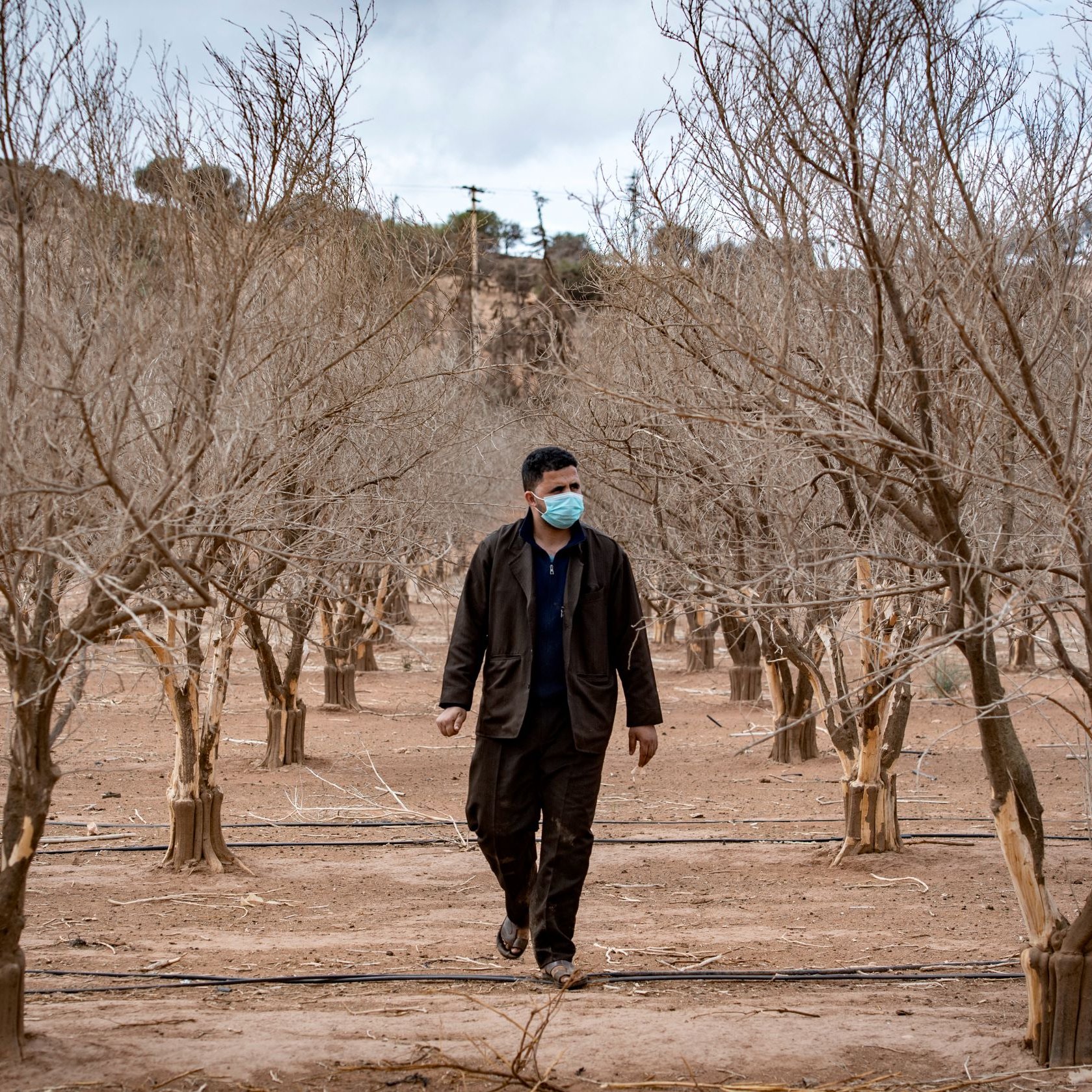 Nell'immagine si vede un uomo che cammina tra alberi secchi in un campo. Gli alberi sono spogli e privi di foglie, suggerendo un ambiente arido o una stagione invernale. L'uomo indossa una mascherina e un abbigliamento scuro, mentre si muove lungo un sentiero tra i tronchi. Il paesaggio appare desolato, con un cielo nuvoloso sullo sfondo.