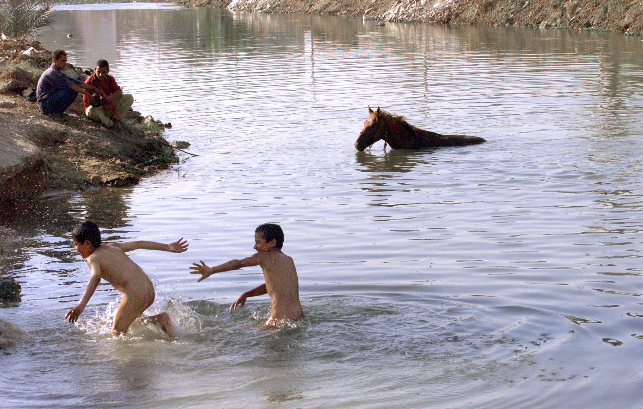 L'image montre une scène paisible près d'un cours d'eau. Deux jeunes garçons jouent dans l'eau, visiblement en train de s'amuser. Ils sont nus et semblent joyeux. Sur la rive, on peut apercevoir quelques personnes assises qui les observent. À l'arrière-plan, un cheval est dans l'eau, probablement en train de se désaltérer ou de se baigner. La nature environnante semble calme avec des rives légèrement boisées. L'atmosphère générale est celle de détente et de jeu.