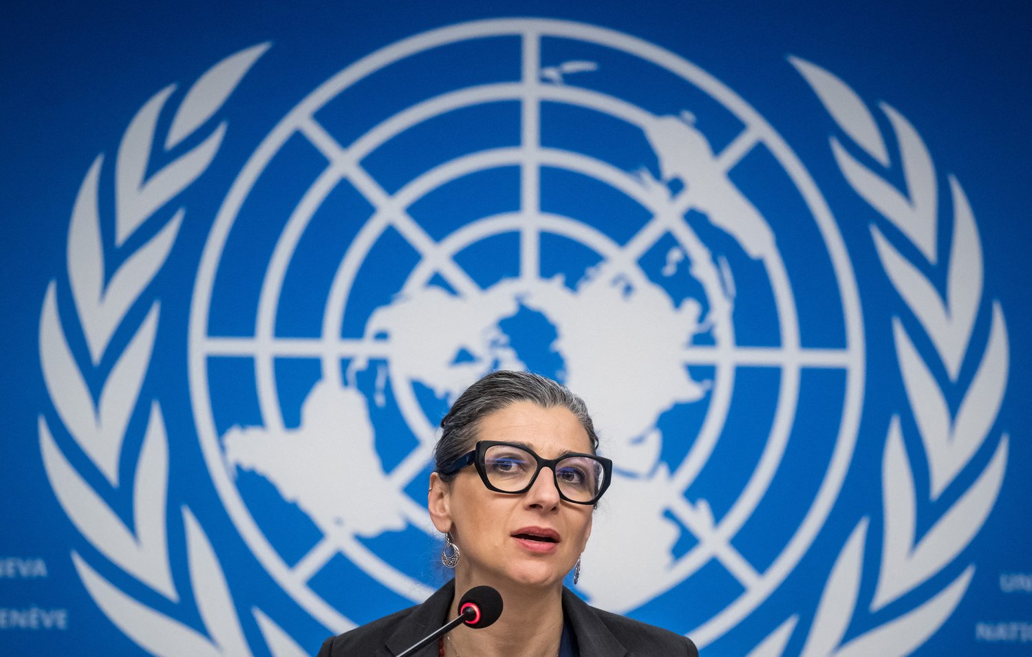 L'immagine mostra una donna che sta parlando di fronte a un microfono, con uno sfondo che presenta il logo delle Nazioni Unite. La donna ha gli occhiali e un'espressione seria, suggerendo che si tratta di una conferenza o di una presentazione ufficiale. Lo sfondo blu è decorato con il simbolo del globo terrestre, circondato da rami di ulivo, che rappresenta la pace.