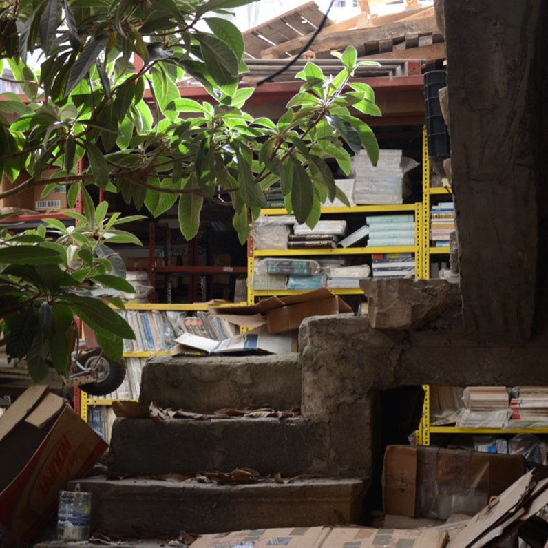 L'image montre un espace intérieur, apparemment désordonné. On y voit un escalier en béton partiellement recouvert de débris et de boîtes. À côté de l'escalier, il y a une plante verte, ce qui ajoute une touche de vie à cet environnement. En arrière-plan, des étagères remplies de livres et d'objets se pressent, donnant l'impression que l'endroit est utilisé comme entrepôt ou bibliothèque abandonnée. Les lumières naturelles entrent par une ouverture en haut, éclairant partiellement la scène.