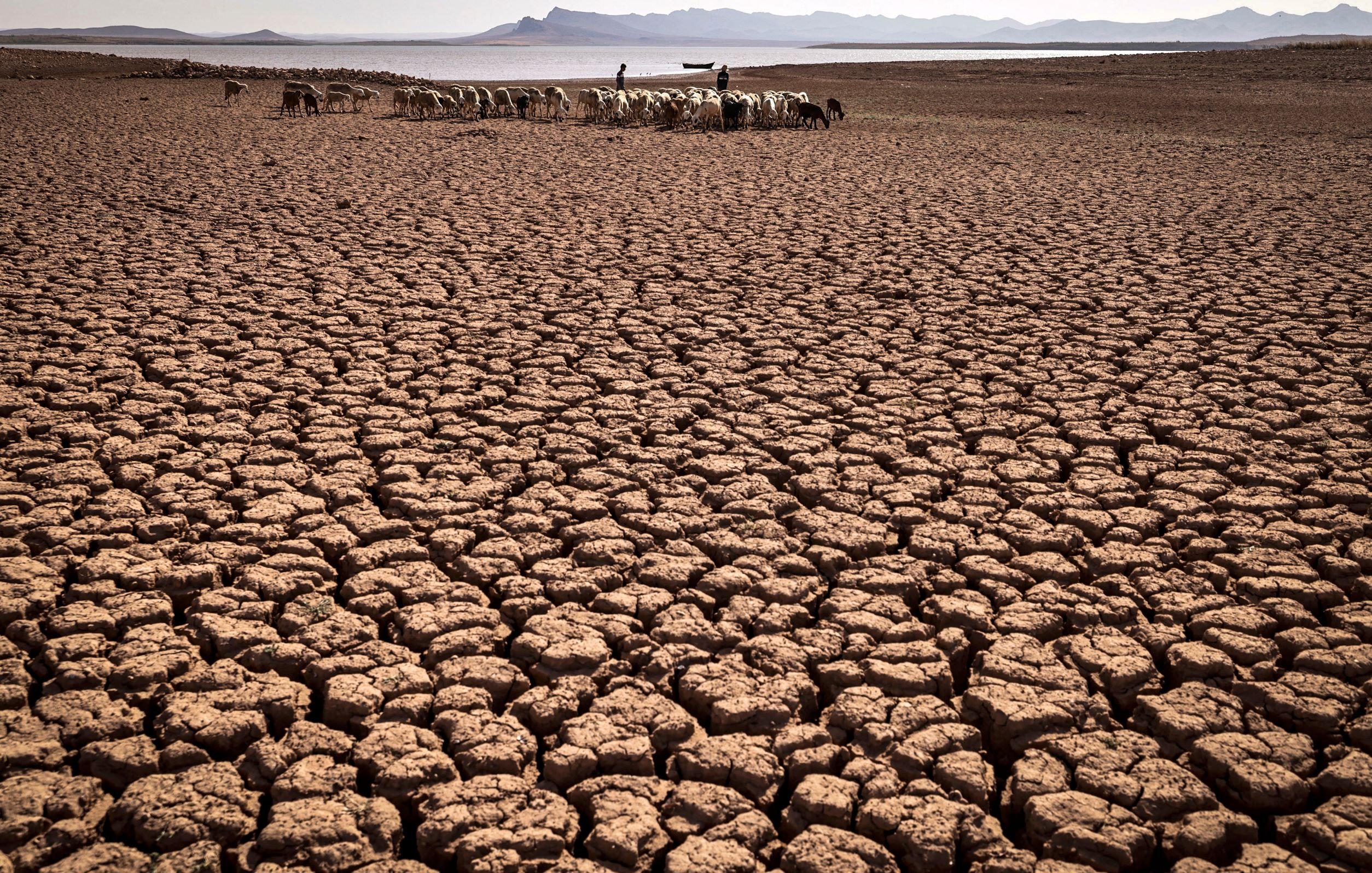 L'image montre un paysage aride et desséché, caractérisé par un sol fendu en craquelures profondes. Au loin, on aperçoit un groupe de personnes qui semblent guider un troupeau d'animaux. L'environnement est désolé, probablement en raison de la sécheresse, avec des montagnes floues à l'arrière-plan. L'atmosphère dégage un sentiment de difficulté et de lutte face aux conditions climatiques austères.