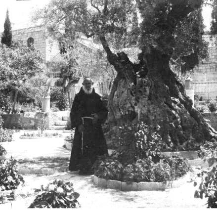 در این تصویر، دو مرد در لباس‌های سنتی به طور ایستاده در یک باغ یا محوطه‌ی بیرونی قرار دارند. در پس‌زمینه، درختان بزرگ و کهن وجود دارد، به ویژه یک درخت زیتون بسیار قدیمی که به وضوح قابل مشاهده است. باغ پر از سبزه و گل‌های متنوع است. نمای کلی تصویر حس سکوت و آرامش را منتقل می‌کند و به نظر می‌رسد که مکان تاریخی و معنوی باشد.