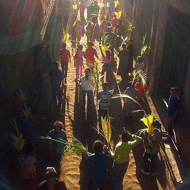 الصورة تظهر مجموعة من الأشخاص في شارع ضيق، يجتمعون معًا وهم يحملون أوراق نباتية طويلة، ربما يمثلون احتفالًا أو مهرجانًا. الأفراد يرتدون ملابس ملونة ويبدون متحمسين. تضيء الشمس المكان، مما يضيف جواً مميزاً للصورة، ويعطي انطباعًا بالحيوية والفرح خلال الفعالية.