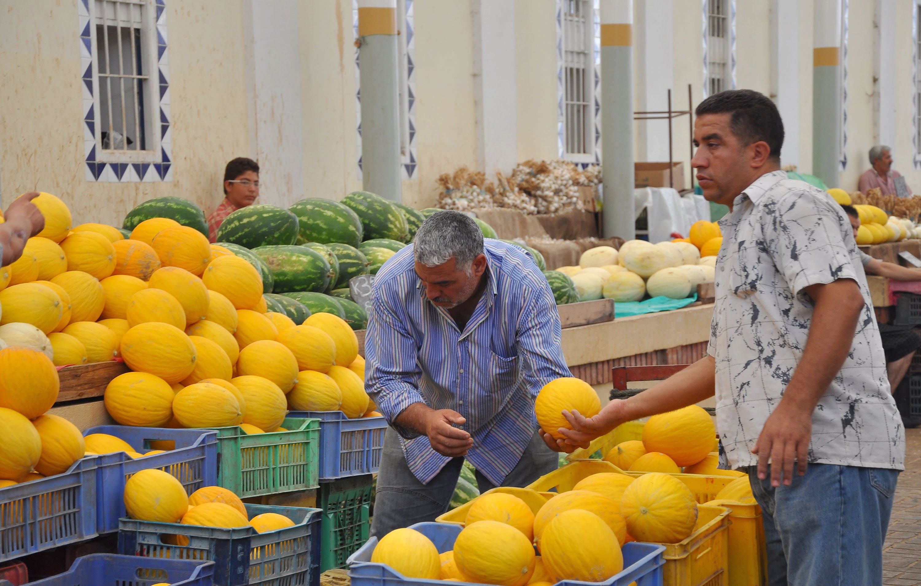 L'image montre un marché où plusieurs personnes s'occupent de la vente de melons. Il y a des paniers en plastique contenant des melons jaunes, et des melons de différentes tailles sont dispersés sur des tables. Deux hommes sont au premier plan : l'un est penché pour examiner un melon, tandis que l'autre tient un melon et semble discuter ou réfléchir. En arrière-plan, on peut voir d'autres melons et des gens qui s'affairent. L'ambiance semble animée et colorée, typique d'un marché local.