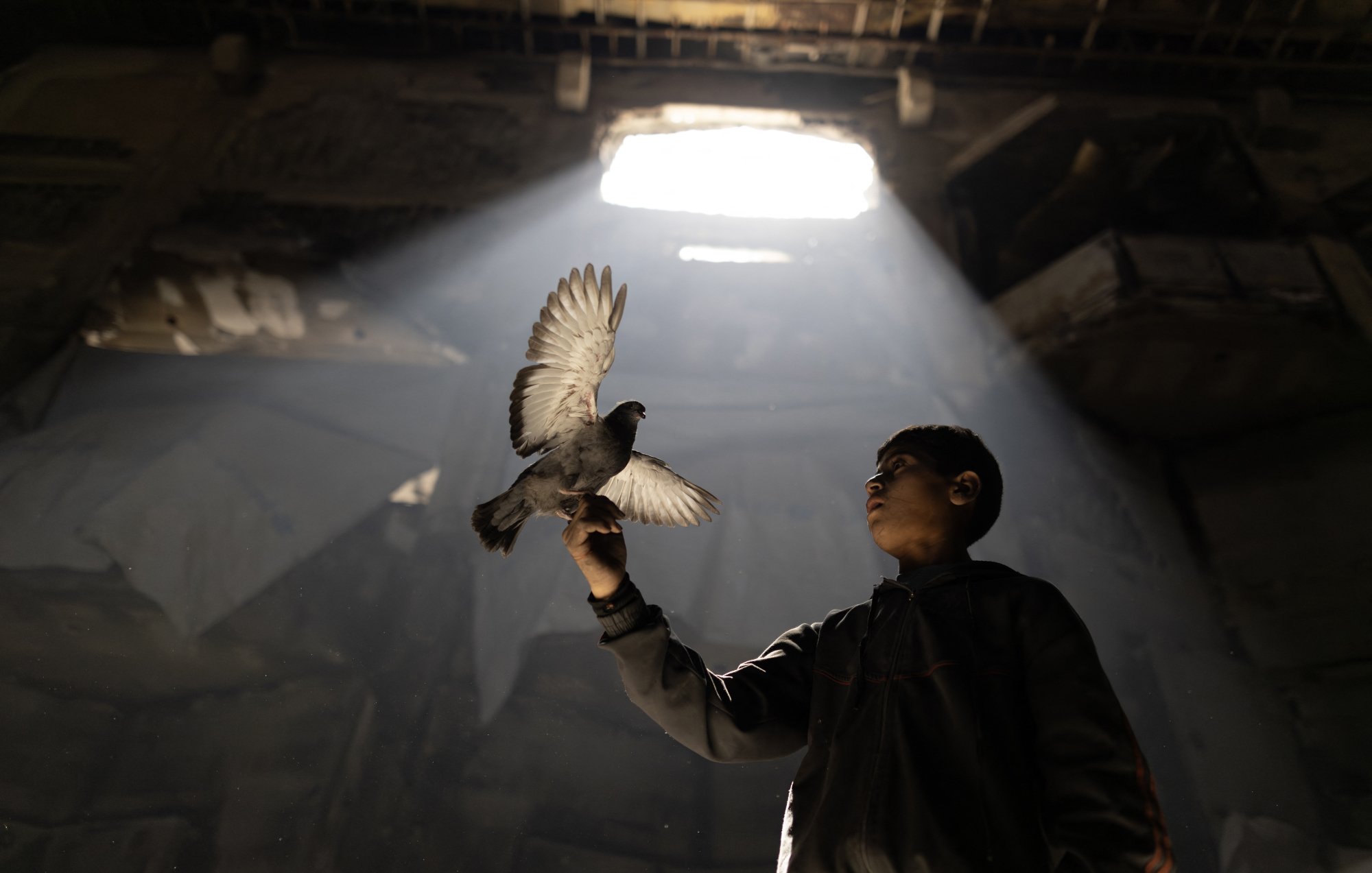 Un garçon tient un pigeon sous un rayon de lumière dans un lieu sombre.