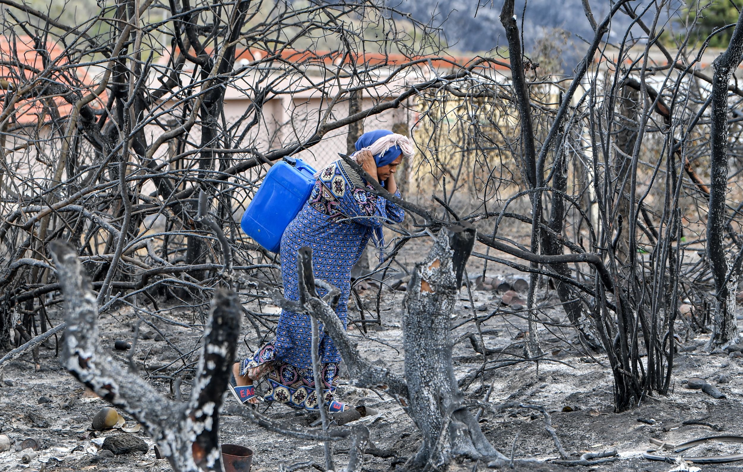 L'image montre une femme vêtue d'une robe traditionnelle, portant un seau bleu, qui se tient parmi des arbres brûlés et des débris d'un terrain ravagé par un incendie. Le paysage est marqué par des troncs d'arbres noircis et des cendres, suggérant une récente catastrophe naturelle. La femme semble en quête de quelque chose ou en train d'évaluer les dommages dans cette zone dévastée.